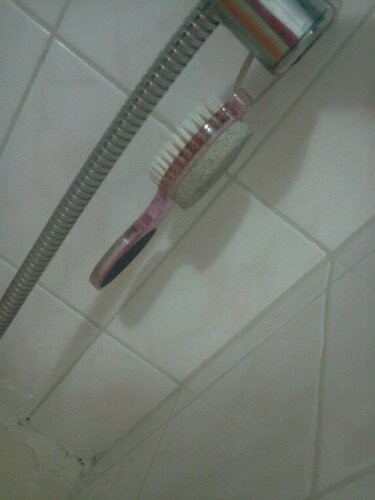 dortlu topuk torpusu