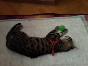 evde "geçmiş olsun" hediyesiyle