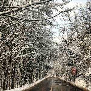 12514028_453467898196232_6486196805734810990_o